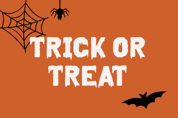 Orangefarbene Halloween-Grafik mit Spinnennetz, Spinne und Fledermaus sowie dem Schriftzug „Trick or Treat“.